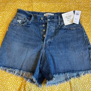 Abercrombie Dad Shorts